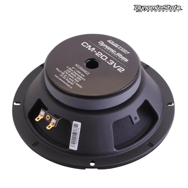 Dynamic State Custom CM-20.3v2, пара Мидбас 20 см (8